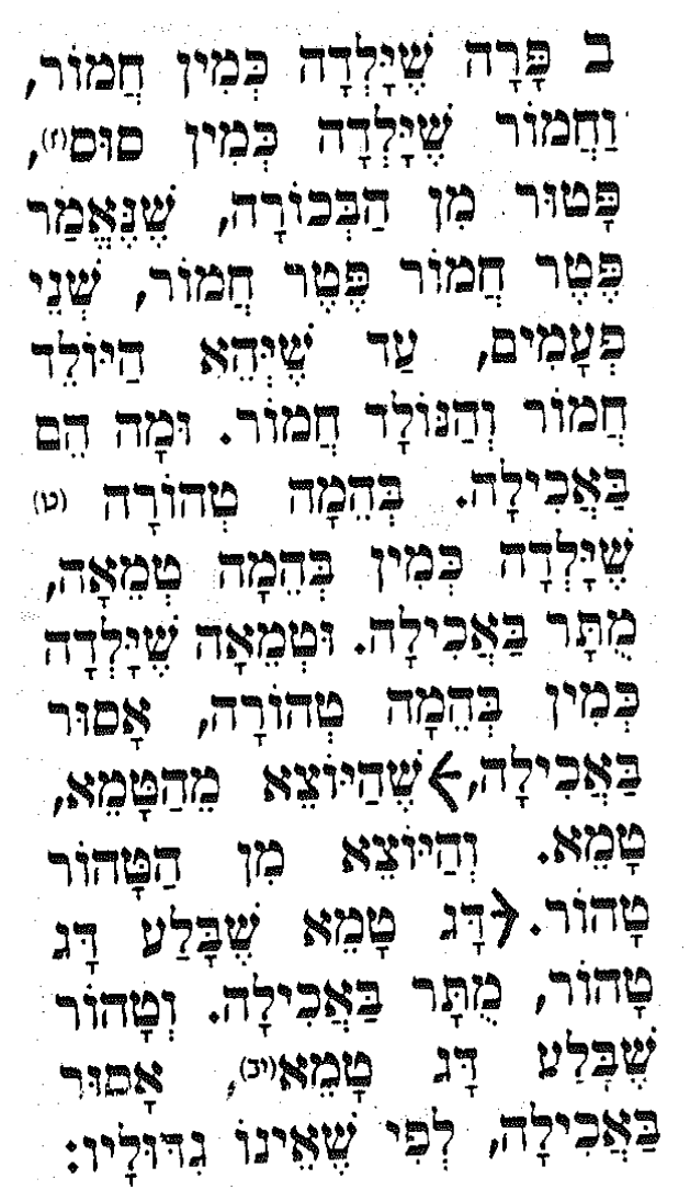 scan from Mishnah Bechorot [Hebrew]