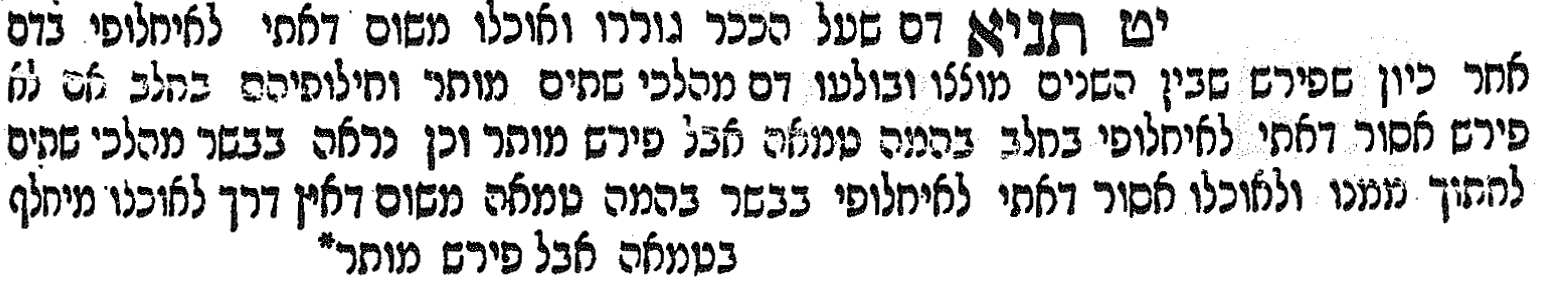 scan from Rosh's commentary on tractate Ketubot [Hebrew]